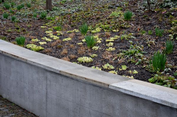 Cost of Concrete Wall Construction in Herndon
