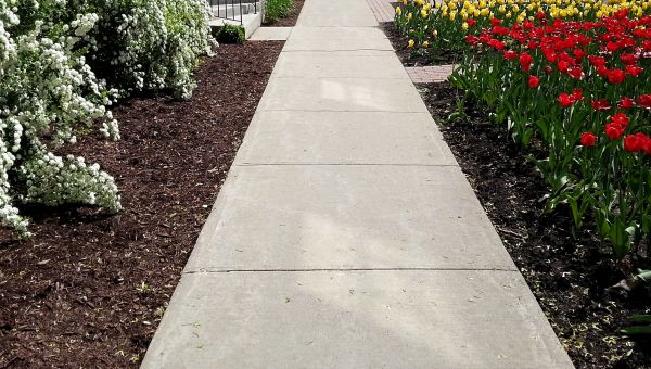 Sidewalk Concrete Replacement in Herndon